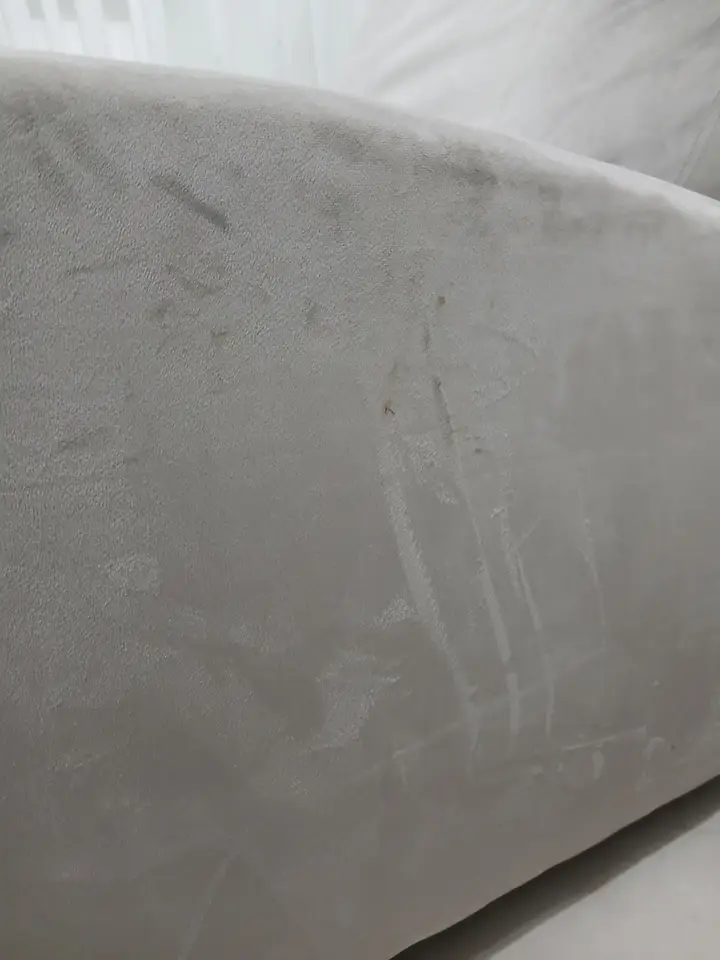 Velvet recliner arm, marks lifted. Shot right after cleaning, still damp, Before